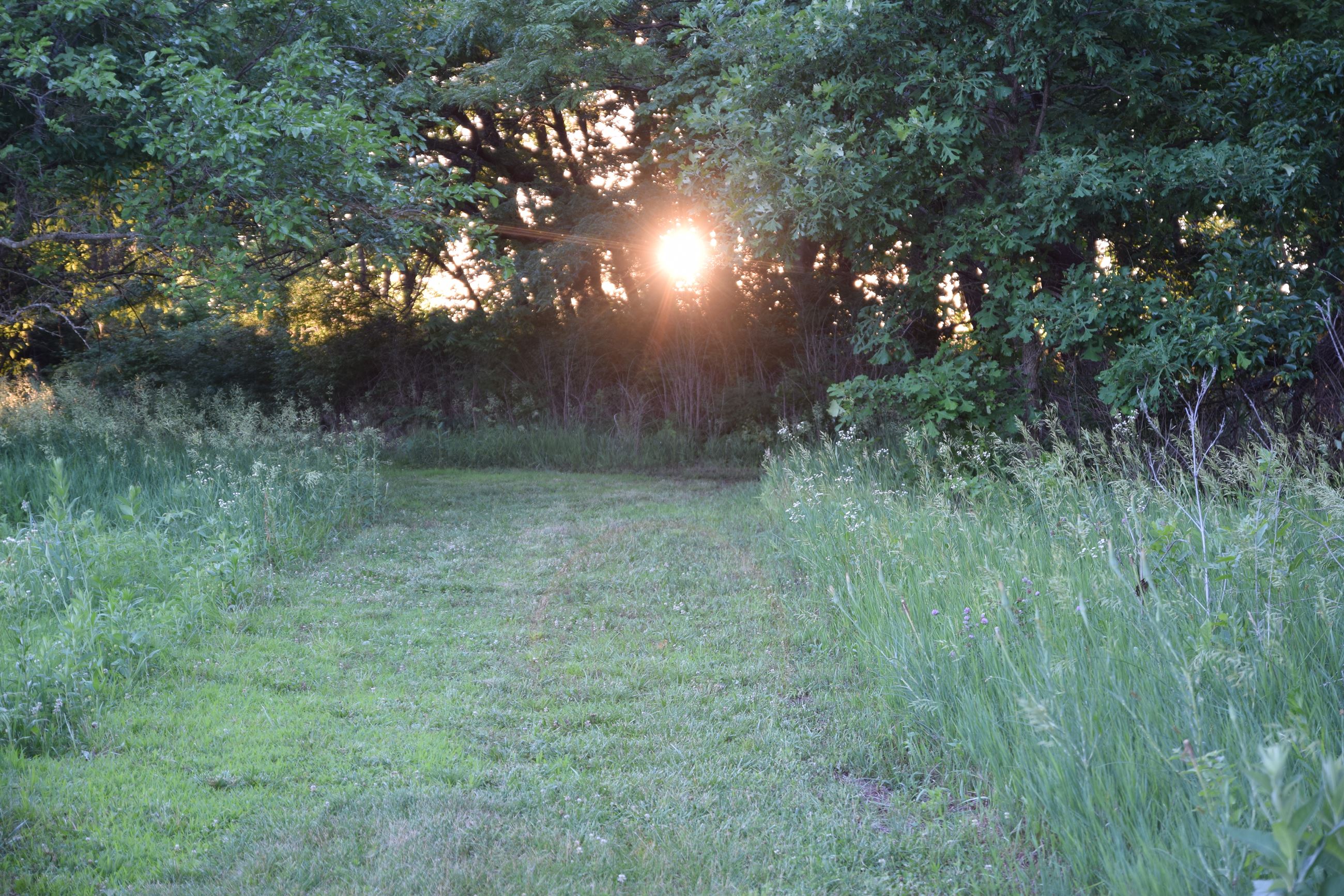 Dornwood Trail at sunset